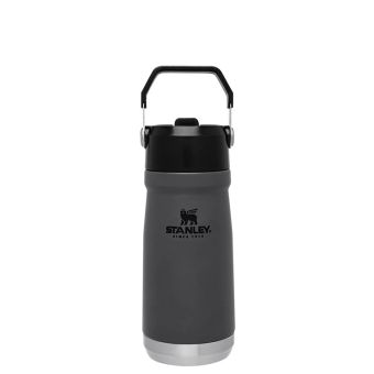 Stanley The Iceflow™ Flip Straw Water Bottle - 17 Oz in Charcoal