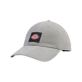 Dickies Washed Canvas Cap in Grey