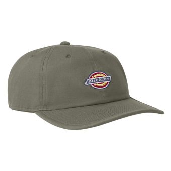 Dickies Low Pro Logo Dad Hat in Moss Green