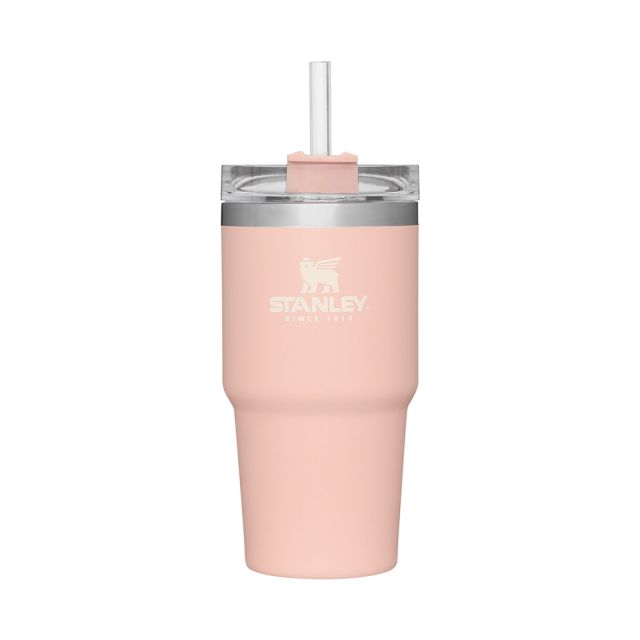 Stanley Adventure Quencher Travel Tumbler 20oz in Shrub | UJB Canada