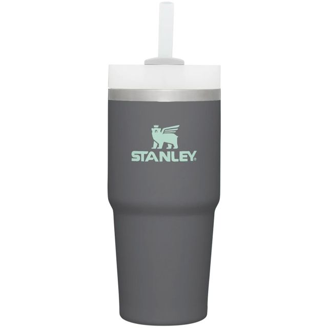 Stanley The Quencher H2.0 FLOWSTATE™ Tumbler | 20 Oz in Cream | UJB Canada